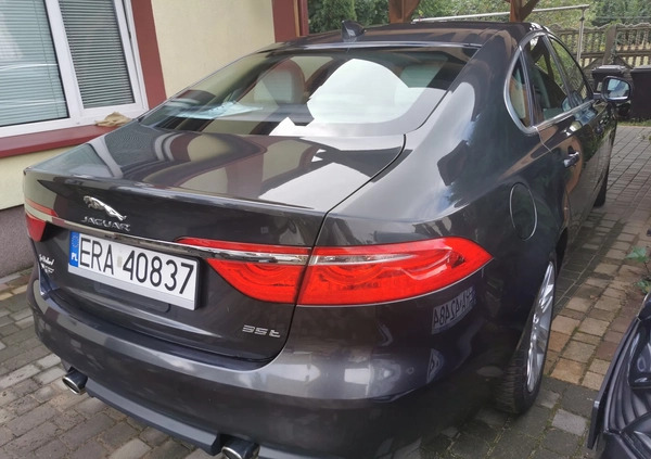 Jaguar XF cena 83900 przebieg: 81600, rok produkcji 2016 z Wyśmierzyce małe 67